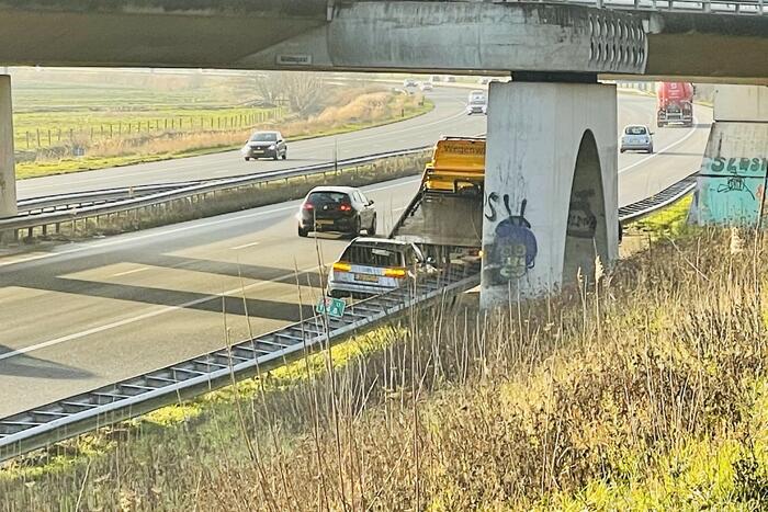 Zwaan overleden bij aanrijding met auto