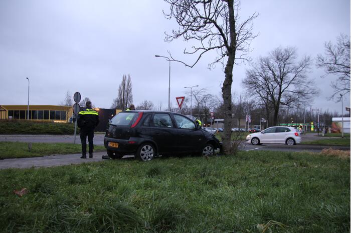 Auto tegen boom geparkeerd
