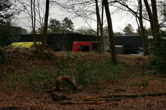 Boom op persoon gevallen in bosgebied