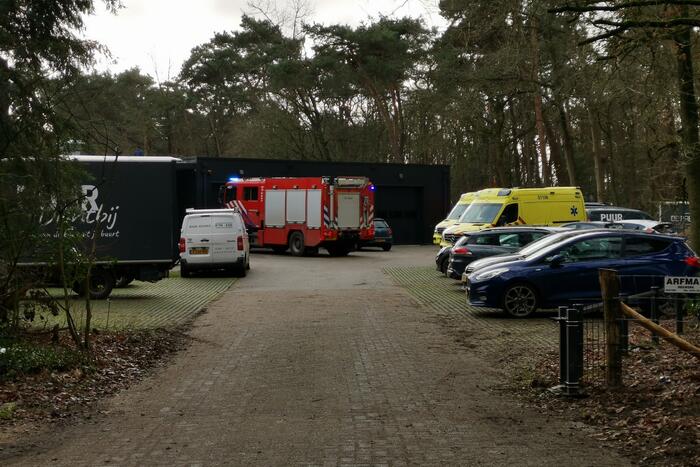 Boom op persoon gevallen in bosgebied