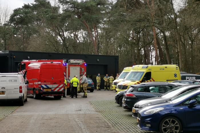 Boom op persoon gevallen in bosgebied