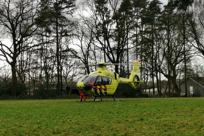 Boom op persoon gevallen in bosgebied