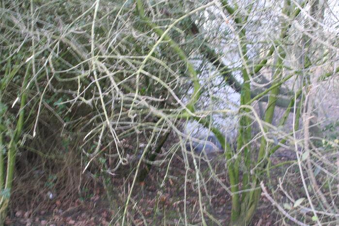 Brandweer blust autoband in bos