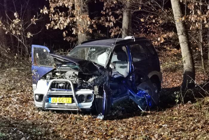 Auto tegen boom geëindigd