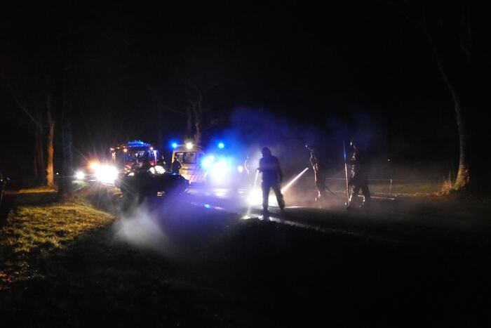 Auto klapt hard tegen boom