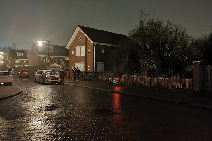 Bestuurster schiet met auto in plantsoen