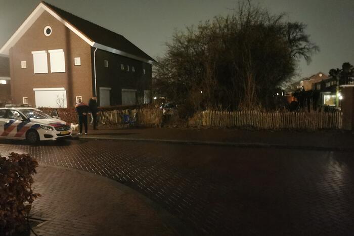 Bestuurster schiet met auto in plantsoen