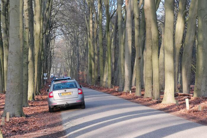 Verlengde Arnhemseweg - N224 112 meldingen Ede 