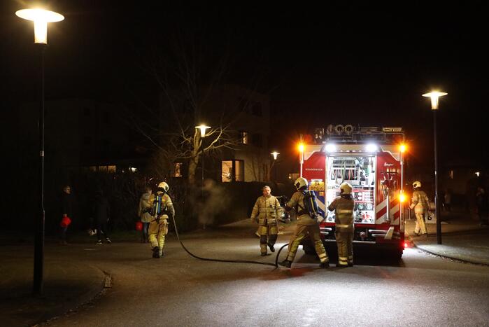 Struiken vliegen in brand