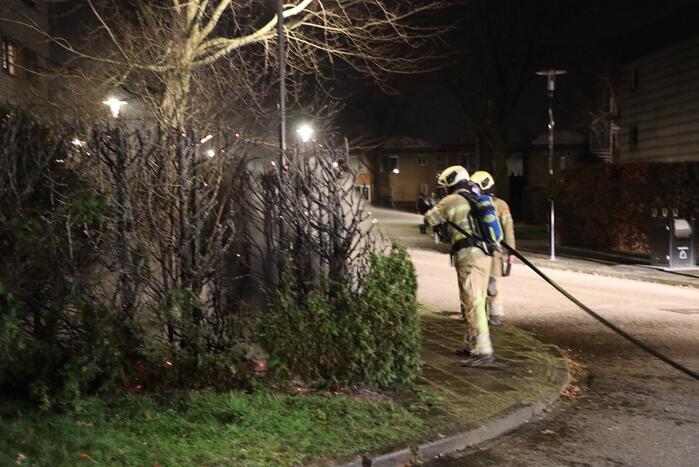 Struiken vliegen in brand