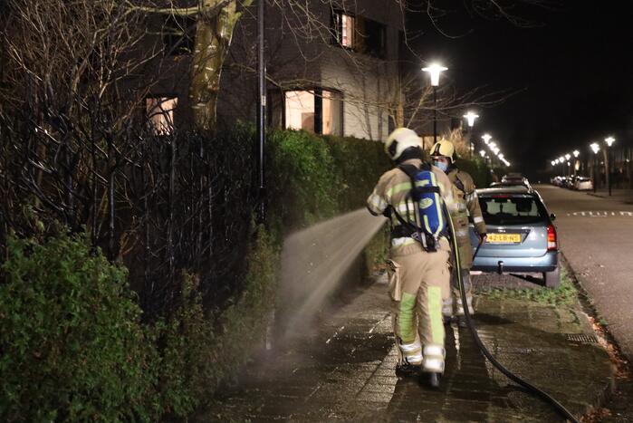 Struiken vliegen in brand