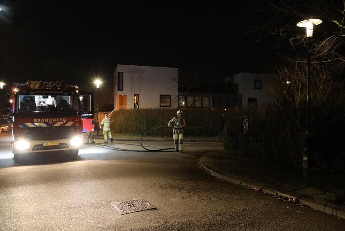 Struiken vliegen in brand