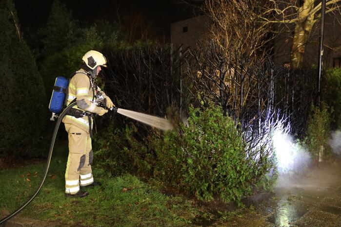 Struiken vliegen in brand