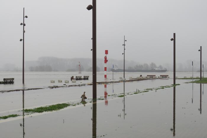 Water van De Waal komt steeds hoger