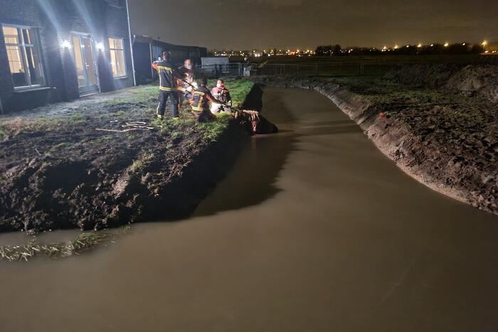 Shetlandpony raakt te water