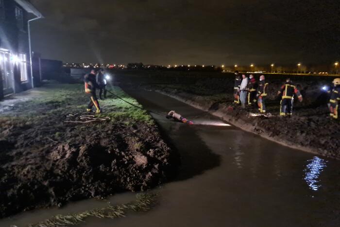 Shetlandpony raakt te water