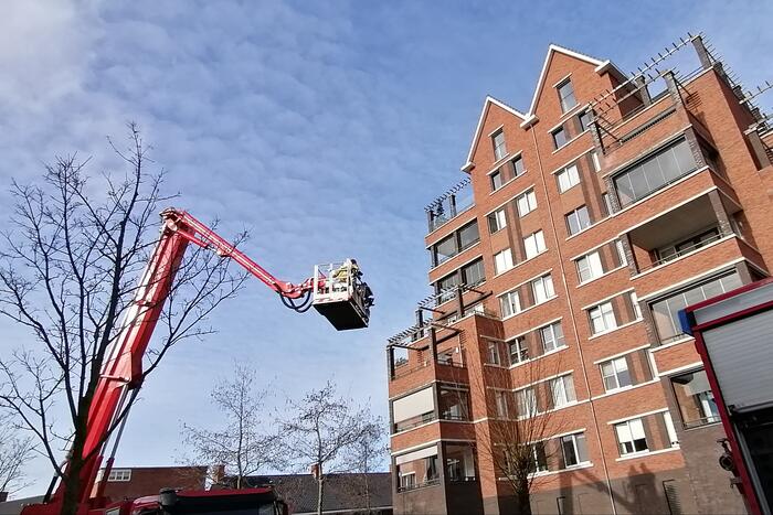 Brandweer bevrijdt vogel uit benarde positie