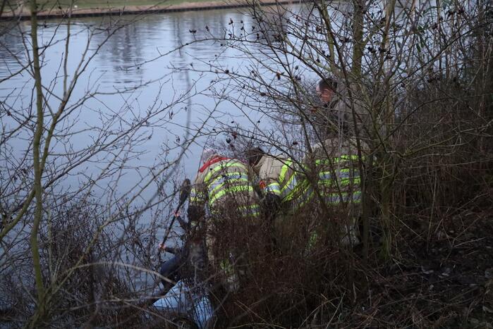 Brandweer redt hond te water