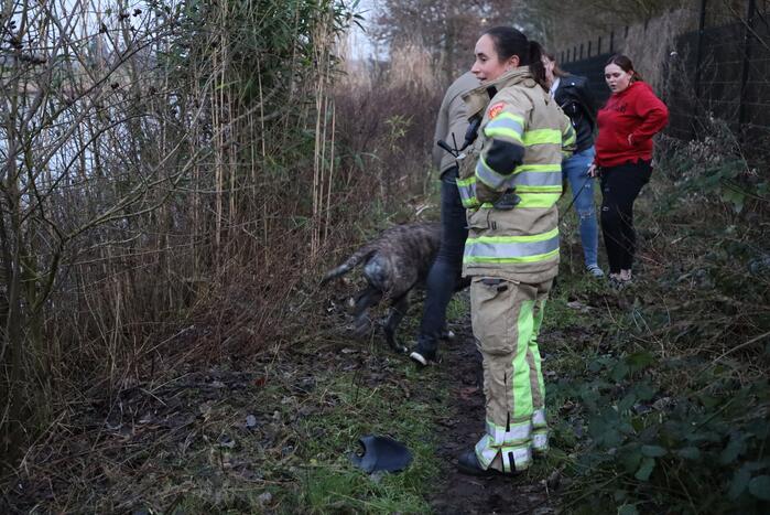 Brandweer redt hond te water