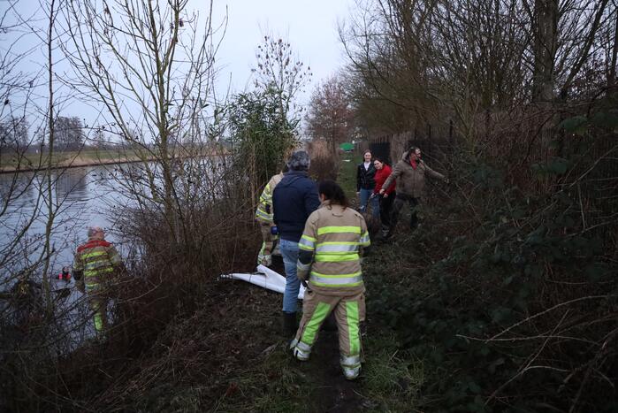 Brandweer redt hond te water