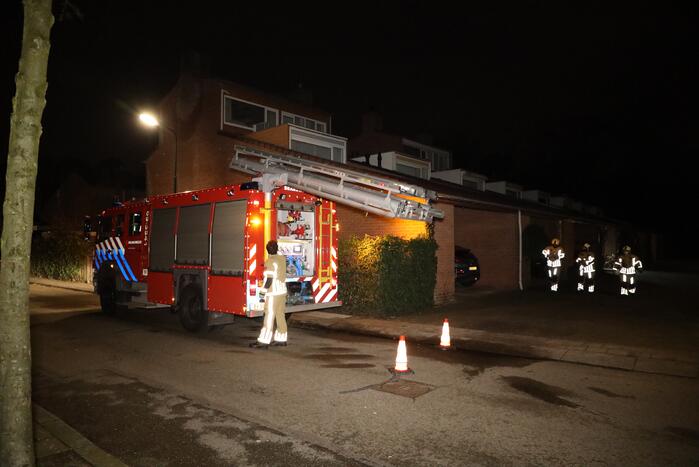 Kat springt uit boom bij reddingspoging