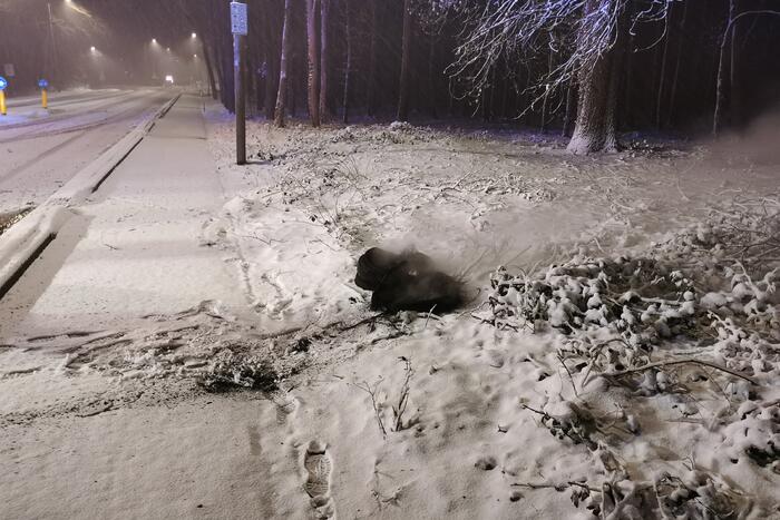 Autobanden op vluchtheuvel in brand gestoken