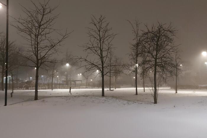 Nederland ontwaakt onder deken van sneeuw