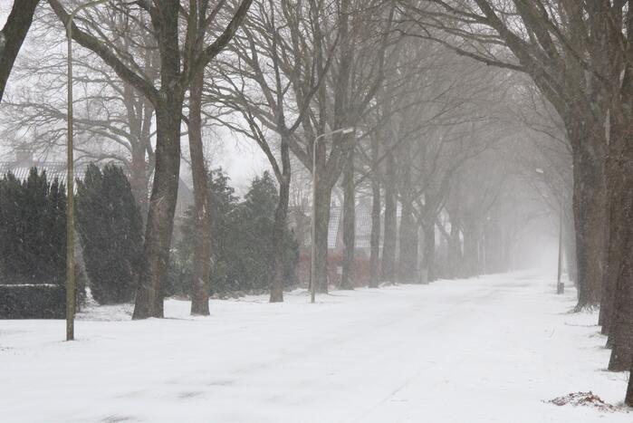 Nederland ontwaakt onder deken van sneeuw