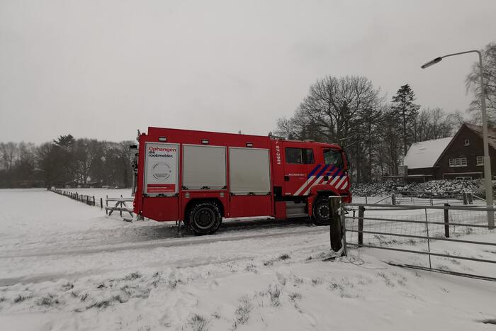 Bulldozer zet paard weer op zijn benen