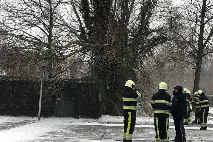 Tak breek af door harde wind