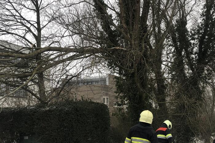 Tak breek af door harde wind