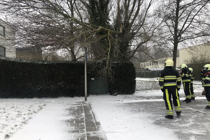 Tak breek af door harde wind