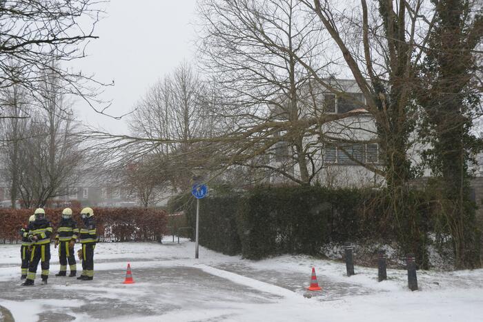 Tak breek af door harde wind