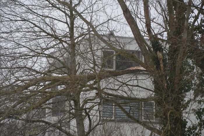 Tak breek af door harde wind