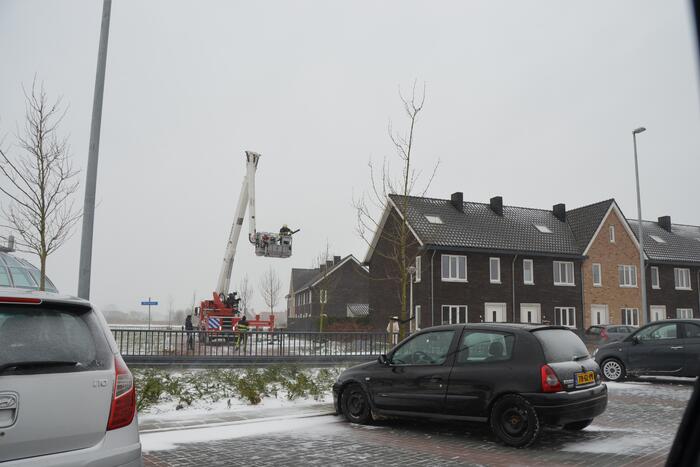 Molkenkelder Nieuws Goutum 