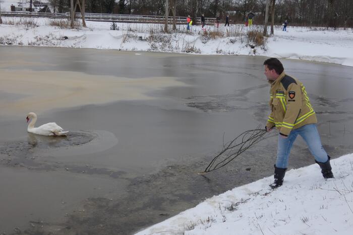 Domoweg Nieuws Beilen 