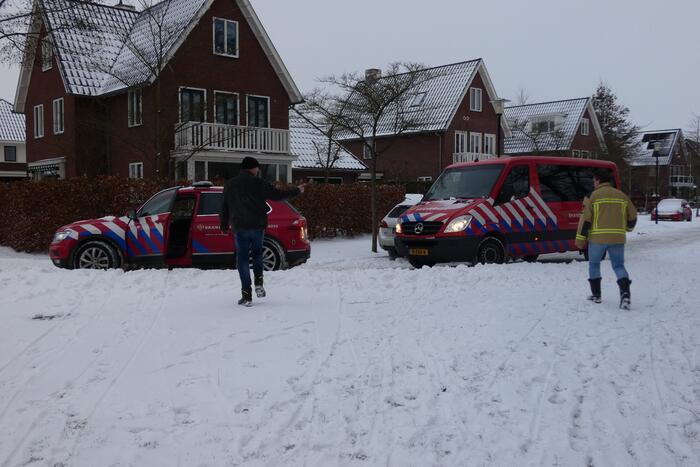 Zwaan vastgevroren op het ijs