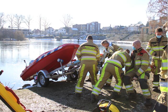 Grauwe gans vast op Eendjesvijver Vijverpark