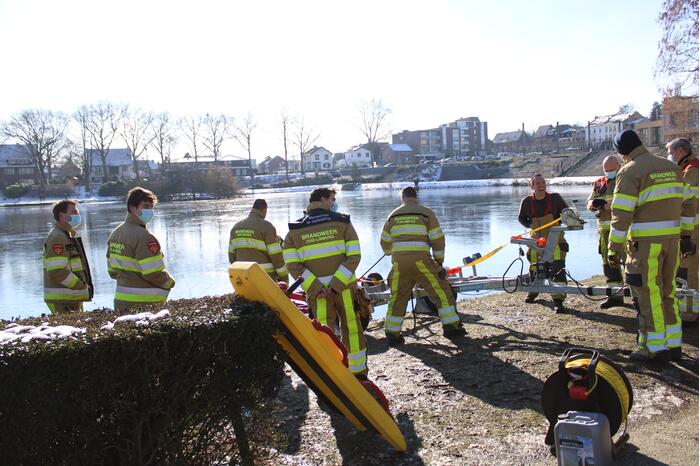 Grauwe gans vast op Eendjesvijver Vijverpark