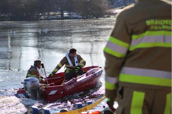 Grauwe gans vast op Eendjesvijver Vijverpark