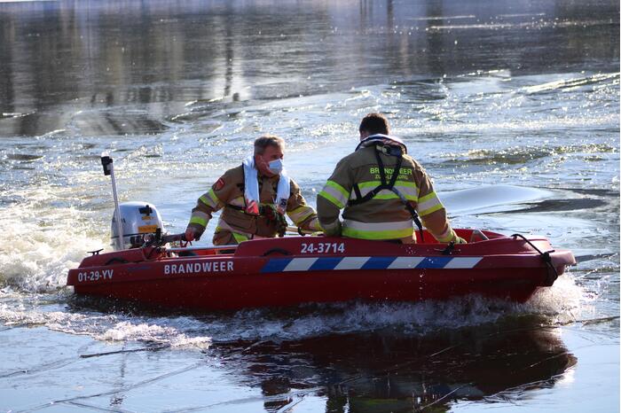 Grauwe gans vast op Eendjesvijver Vijverpark