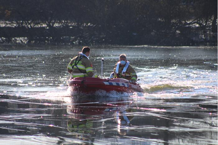 Grauwe gans vast op Eendjesvijver Vijverpark