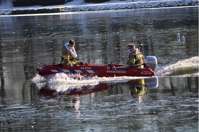 Grauwe gans vast op Eendjesvijver Vijverpark