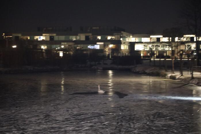 Brandweer ingezet voor zwaan vast op ijs