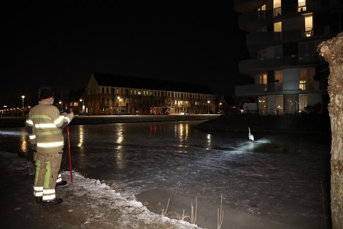 Brandweer ingezet voor zwaan vast op ijs