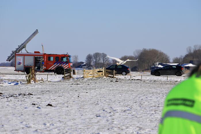 Natuurfotograaf vindt vastgevroren zwaan