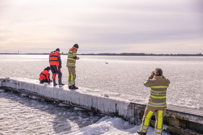 Twee vastzittende zwanen met drone bevrijdt