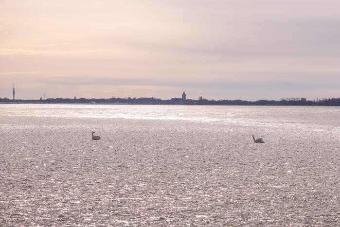 Twee vastzittende zwanen met drone bevrijdt