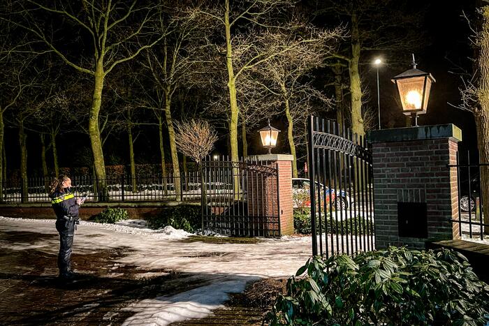 Kat door brandweer uit de boom gehaald