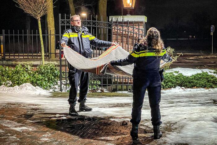 Kat door brandweer uit de boom gehaald